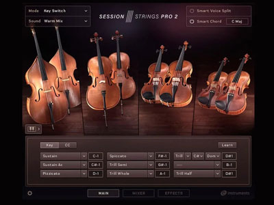 Native Instruments cinematic strings library interface